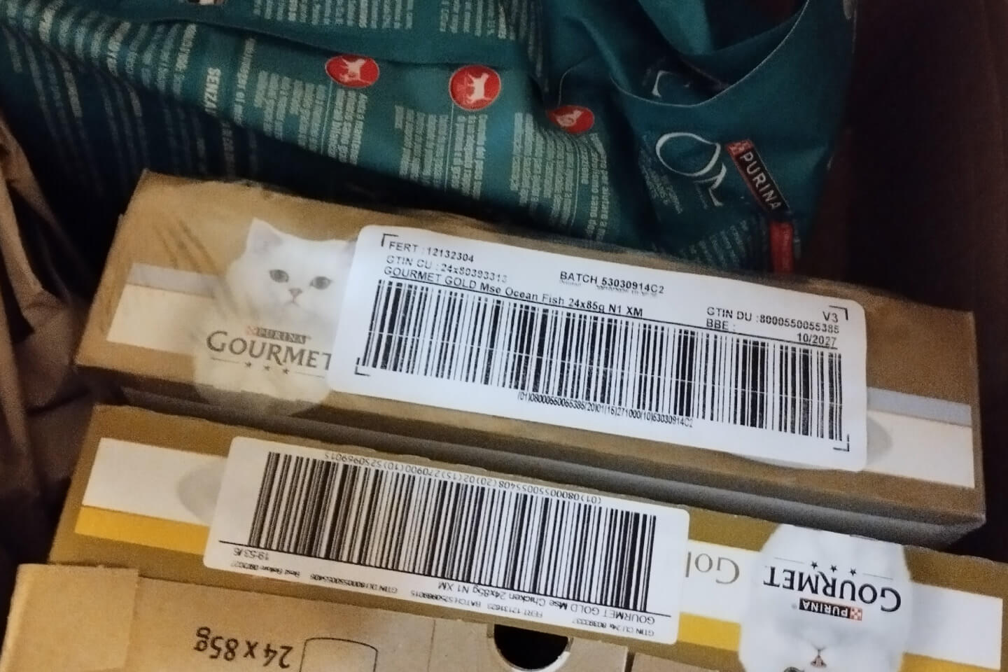 de-vanna-gianluca-consulente-informatico-molfetta-donazione-associazione-stregatto